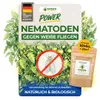 Green Guardia Nematoden gegen Weiße Fliegen – 10 Mio. - Produktbild-Vorschau 1