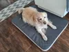 DOTTY ortopedický matrac pre psa, pamäťová pena VISCO, Náhľad obrázku produktu 8