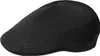 Kangol leichte luftige Flatcap Tropic Ventair 507 in grau Voir les images du produit