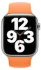 Correa de silicona Solo Loop para Apple Watch | 44/45/46/49 Vista previa de la imagen del producto 2