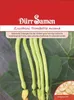 Zucchini Trombetta moana | Zucchinisamen von Dürr Samen Produktbild-Vorschau 3