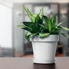 Pot de fleurs avec soucoupe Diamètre 40 cm Jardinière Voir les images du produit 3