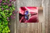 MuchoWow® Produktbild-Vorschau 5
