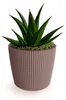 Prosperplast Pflanztopf Buckingham - terra braun - D19 cm Produktbild-Vorschau 3