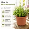 Pflanztopf Fiona Terrakotta Ø 15cm - Frostsicher & Produktbild-Vorschau 8