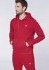 Polo Sylt Kapuzenpullover mit gesticktem Label-Symbol Produktbild-Vorschau 6