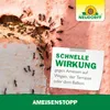 AmeisenStopp schnelle Wirkung gegen Ameisen auf Wegen Terrassen und Balkonen Produktbild-Vorschau