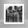 Poster - Poster ohne Rahmen - Bäume drinnen Nebel - 40x40 Produktbild-Vorschau 4