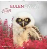 Alpha Edition - Eulen 2026 Broschürenkalender, 30x30cm, Produktbild-Vorschau 1