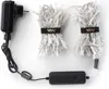 A product shot of a string of LED lights with its power adapter and controller. Náhled obrázku produktu