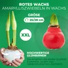 Amaryllis en cire, rouge - 2 bulbes d'amaryllis en cire - Voir les images du produit 2