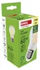 LED žárovka Filament A60 A CLASS/ E27 / 3,8 W (60 W) / 806 lm / teplá bílá Produktbild-Vorschau