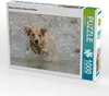 CALVENDO Puzzle Gelber Labrador Action am Wasser | 1000 Produktbild-Vorschau 3