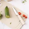 A cucumber, a knife, and cherry tomatoes on a cutting board. Produktbild-Vorschau