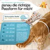 HUND IST KÖNIG Windeln für Hündinnen [3 Stk], M (Taille Produktbild-Vorschau 5