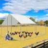 Jopassy pollaio all'aperto grande pollaio tetto recinto Anteprima dell’immagine prodotto 6