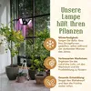 A plant lamp is shown illuminating several potted plants indoors, with text describing the benefits of the lamp. Produktbild-Vorschau