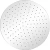 A round, silver shower head with multiple small holes for water to pass through, presented on a white background. Náhled obrázku produktu