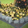 A garden bed with yellow begonias and decorative plants. Produktbild-Vorschau