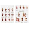 15 Teilig Menschliches Anatomie Modell, Produktbild-Vorschau 7
