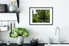 MuchoWow® MuchoWow® Gerahmtes Poster Seerosen im Wasser mit Produktbild-Vorschau 4