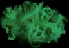 Ragnatela con ragni Ragnatele verde nottilucente 16qm 60g - Anteprima dell’immagine prodotto 3