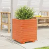 Möbel Pflanzkübel Wachsbraun 40x40x49,5 cm Massivholz Produktbild-Vorschau 3