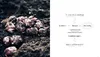 Cook The Mountain [englische Ausgabe; 2 Bde. im Schuber] Produktbild-Vorschau 8