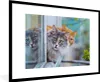 MuchoWow® MuchoWow® Gerahmtes Poster Katze - Fenster - Produktbild-Vorschau 1