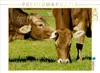 Calvendo Ein Motiv aus dem Kalender Ein Herz für Rinder Produktbild-Vorschau 3