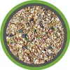 A close-up view of mixed birdseed inside a circular frame. Produktbild-Vorschau