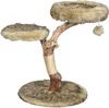 dobar Design-Kratzbaum "Jimmy" mit Naturstämmen und Produktbild-Vorschau 5