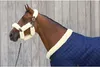 Kentucky Horsewear Führstrick Vorführstrick robust & Produktbild-Vorschau 8