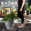 KADAX Blumentopf mit Einsatz "Jesi", Pflanzkübel aus Produktbild-Vorschau 2