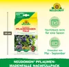 Neudorff Neudomon PflaumenmadenFalle Nachfüllpack 1 Stk. Produktbild-Vorschau 3
