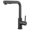 A black kitchen faucet with a pull-out spray head is shown against a white background. Produktbild-Vorschau