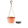květináč TERRA 26 v.16cm TE (R624) závěsný Produktbild-Vorschau 8