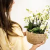 Orchideje Colibri | sada bílých rostlin v bavlněném košíku Náhled obrázku produktu 5