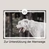 CaniMove bronchial maxi (ab 10kg) Produktbild-Vorschau 2