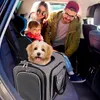 Katzentransporttasche Katzenreisetasche 4-seitig Produktbild-Vorschau 4
