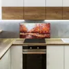 Coloray Spritzschutz aus Glas 100x50  Wandkunst Produktbild-Vorschau 3