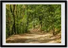 Bild - Bilder - Bilderrahmen - 70 cm x 50 cm - MDF-Rahmen, Produktbild-Vorschau 1