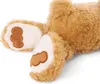 A close-up view of the paws of a teddy bear. Produktbild-Vorschau