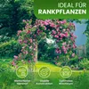 Rosenbogen 150x240x30 cm schwarz Gartendeko Rosenspalier Produktbild-Vorschau 3