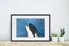 MuchoWow® MuchoWow® Gerahmtes Poster Orca nahe der Produktbild-Vorschau 4