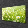 Tulup Leinwand-Bilder 100x50 Wandbild Canvas Kunstdruck Produktbild-Vorschau 2