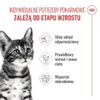 Royal Canin Kitten Sterilised, Kitten, jede Rasse, Produktbild-Vorschau 3