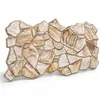 3D Wandpaneele PVC Steinoptik | Honig Sandstein | 20 Produktbild-Vorschau 1