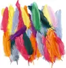 folia plumes d'indien 100 g couleurs assorties Voir les images du produit 1