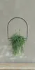 Showy Hanger - Halbkreisförmiger 38 cm Wand-Pflanztopf Produktbild-Vorschau 4